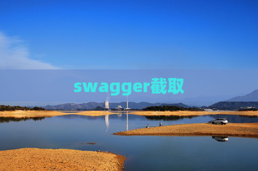 swagger截取